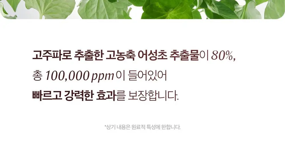 [1만5천원 사은품 한정수량][쿨링진정/대용량]블랑네이처 9배 고농축 어성초 토너 300ml 상세페이지 17